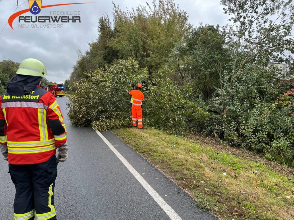 Mehr über den Artikel erfahren Baum auf Straße