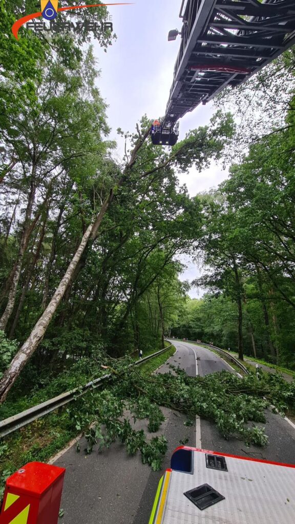 Mehr über den Artikel erfahren Droht zu fallen Baum