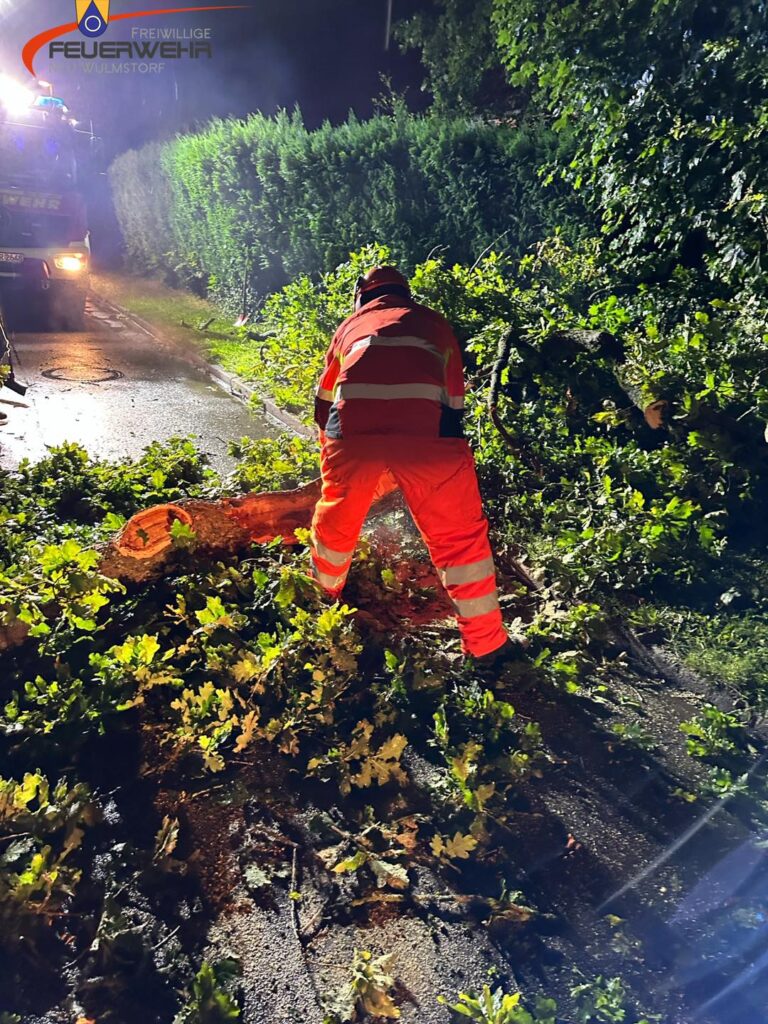 Mehr über den Artikel erfahren Baum auf Straße