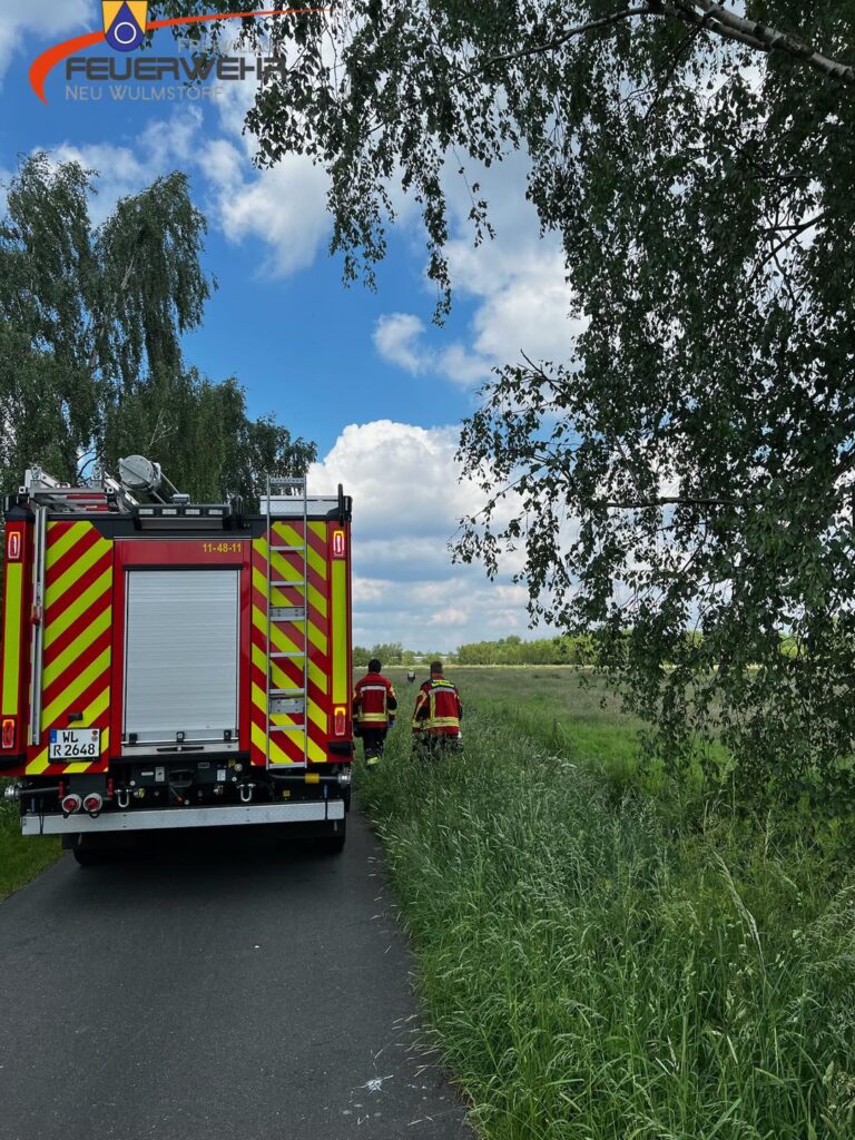 Mehr über den Artikel erfahren Tierrettung im Moor