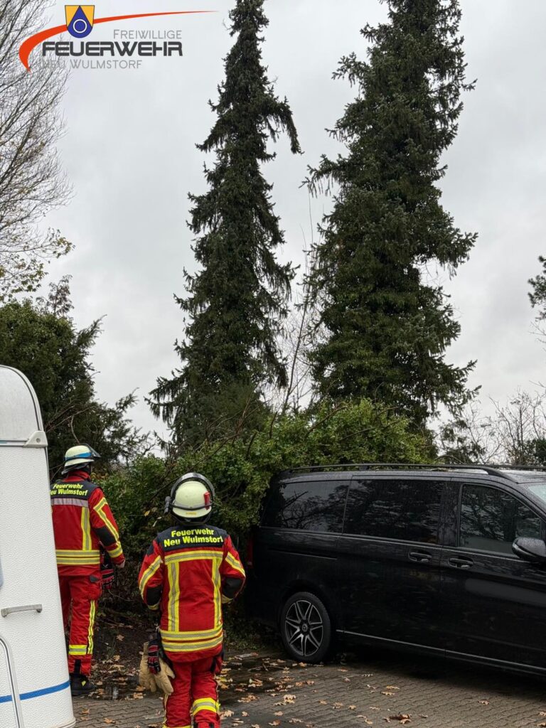 Mehr über den Artikel erfahren Baum auf PKW / Droht zu fallen