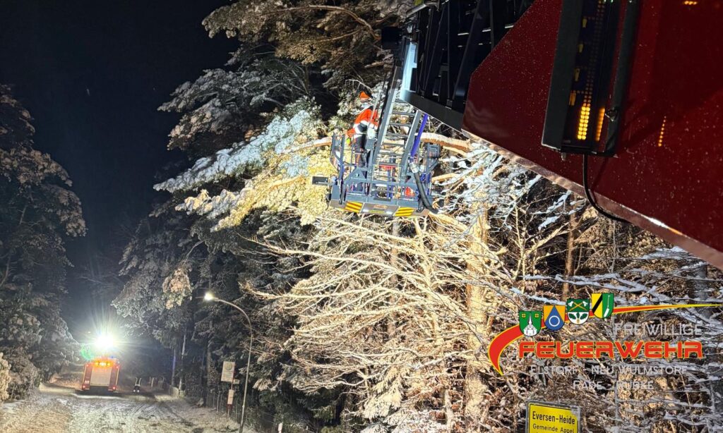 Mehr über den Artikel erfahren Droht zu Fallen Baum/Ast