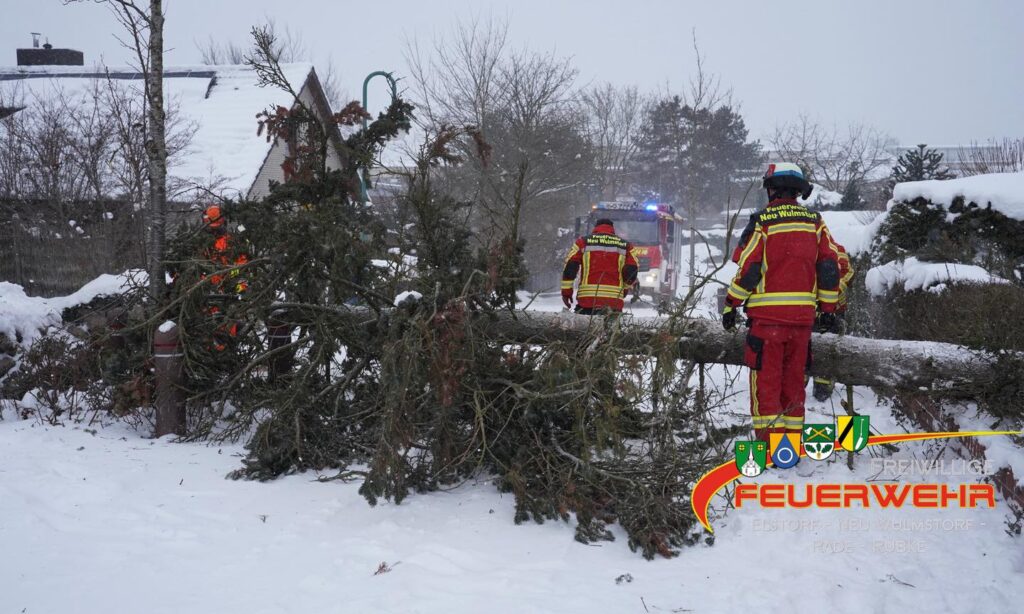 Mehr über den Artikel erfahren Baum auf Straße