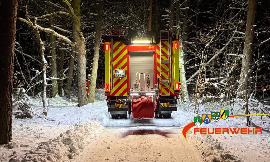 Mehr über den Artikel erfahren Droht zu Fallen Baum/Ast