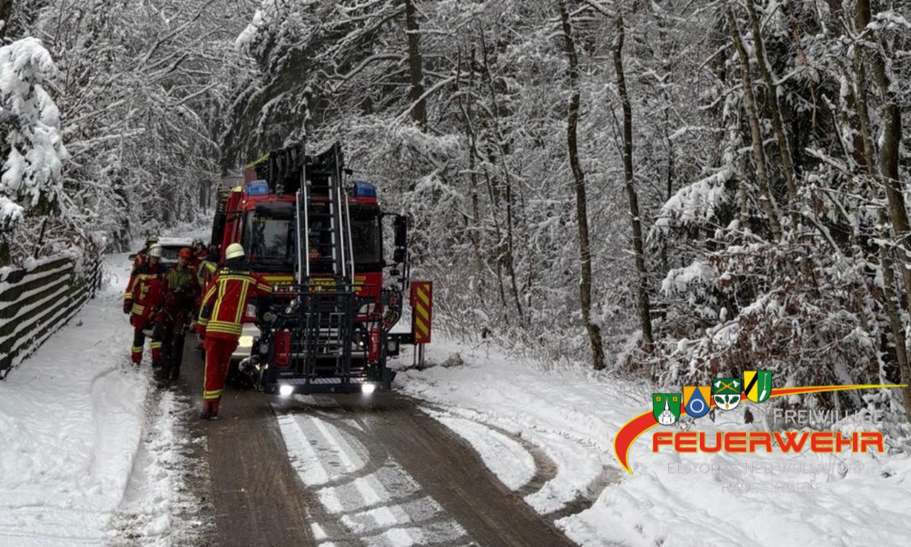 Du betrachtest gerade Droht zu Fallen Baum/Ast