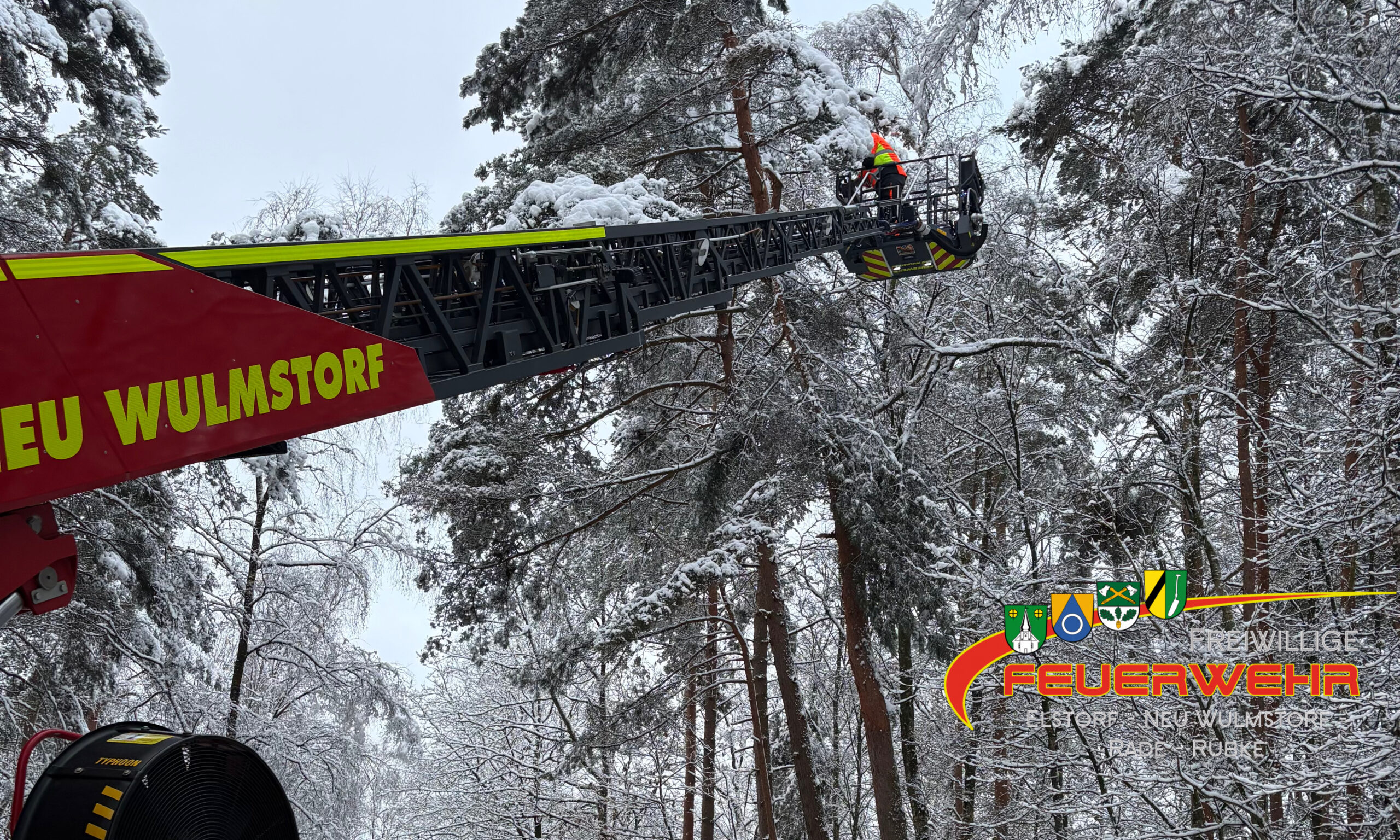 Du betrachtest gerade Droht zu Fallen Baum/Ast