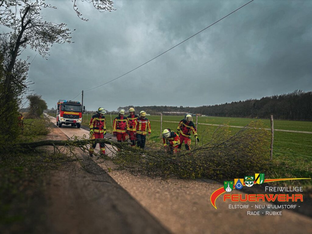 Mehr über den Artikel erfahren Baum auf Straße