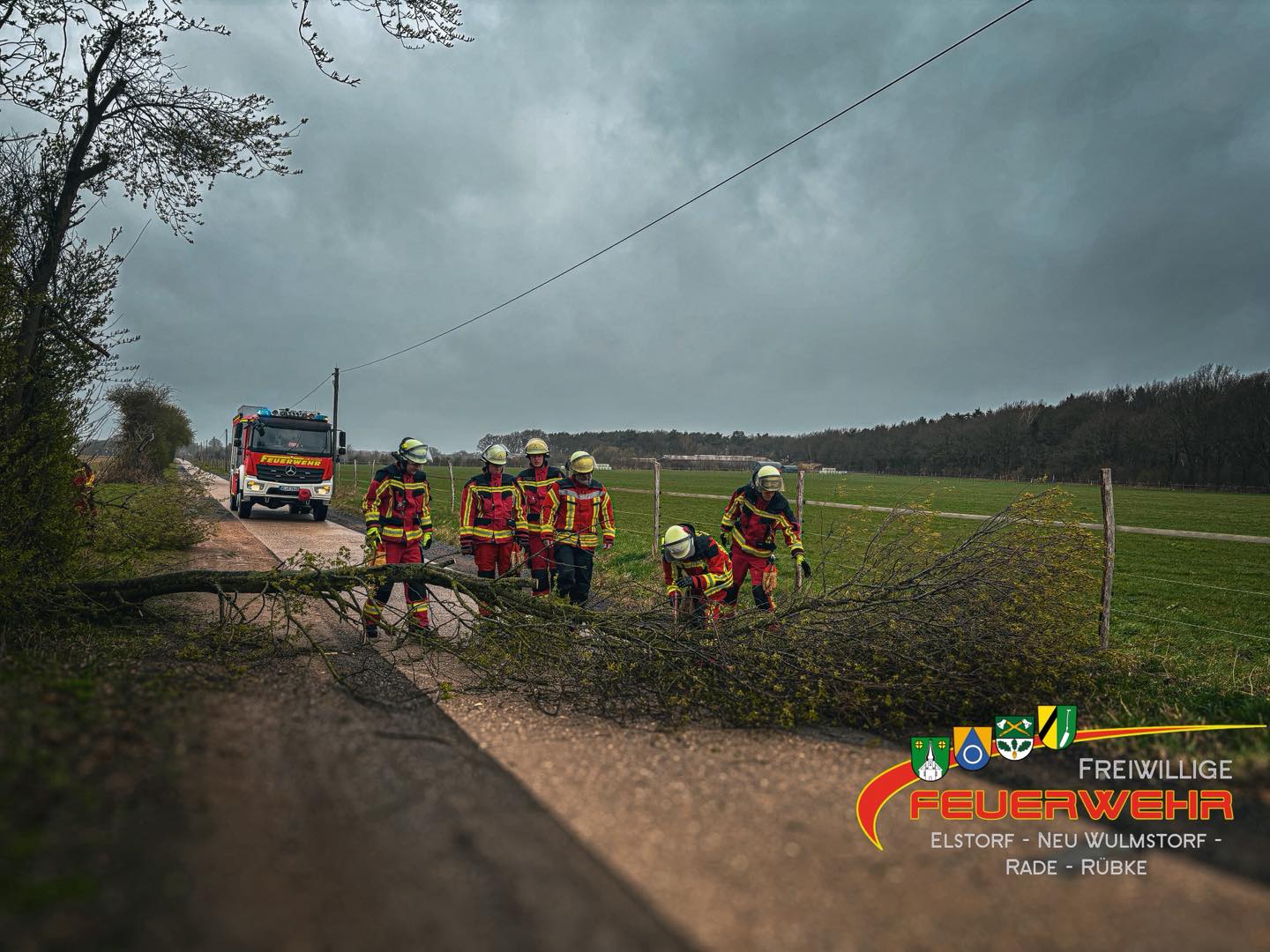 Du betrachtest gerade Baum auf Straße