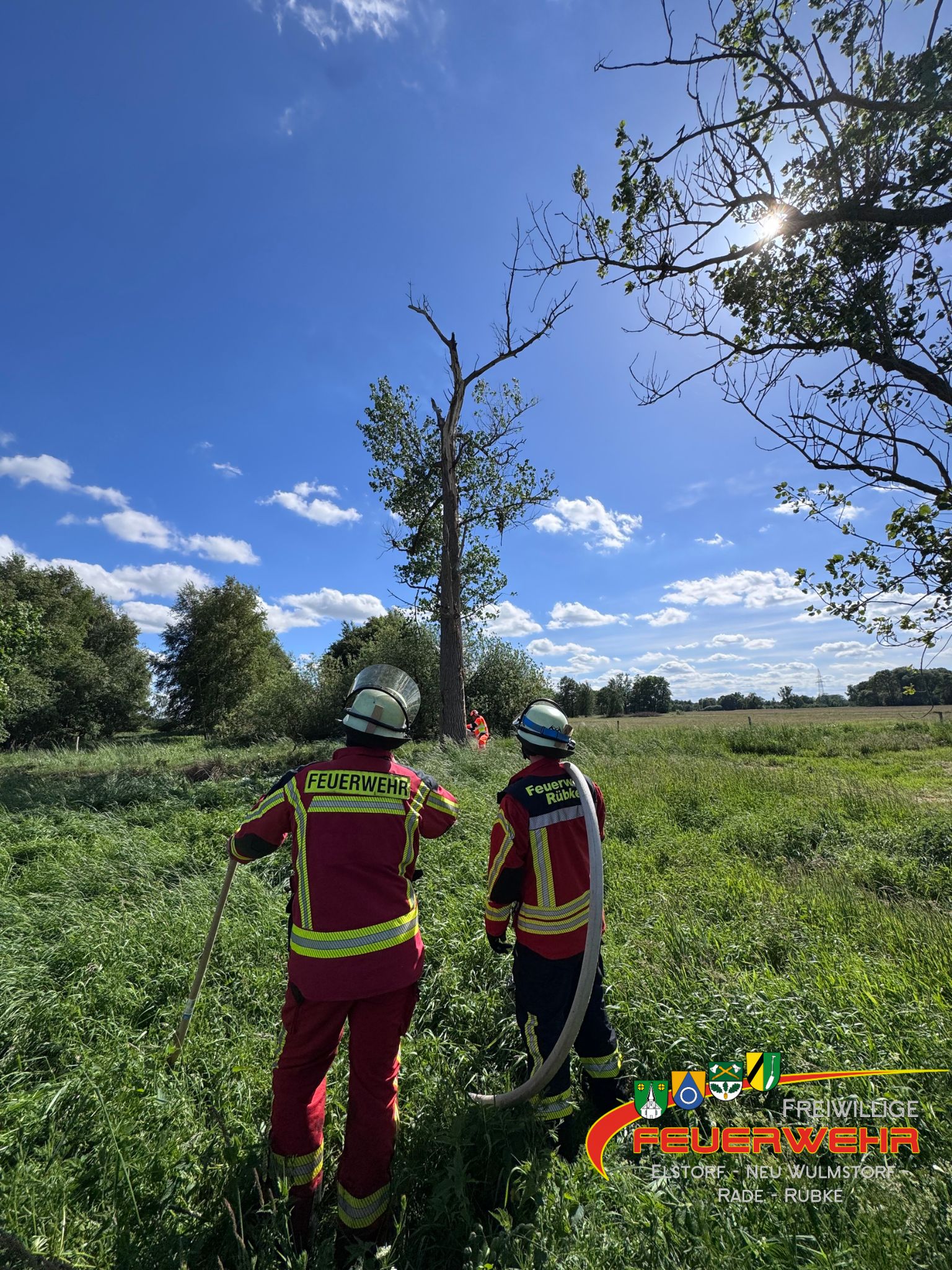 Du betrachtest gerade Flächenbrand