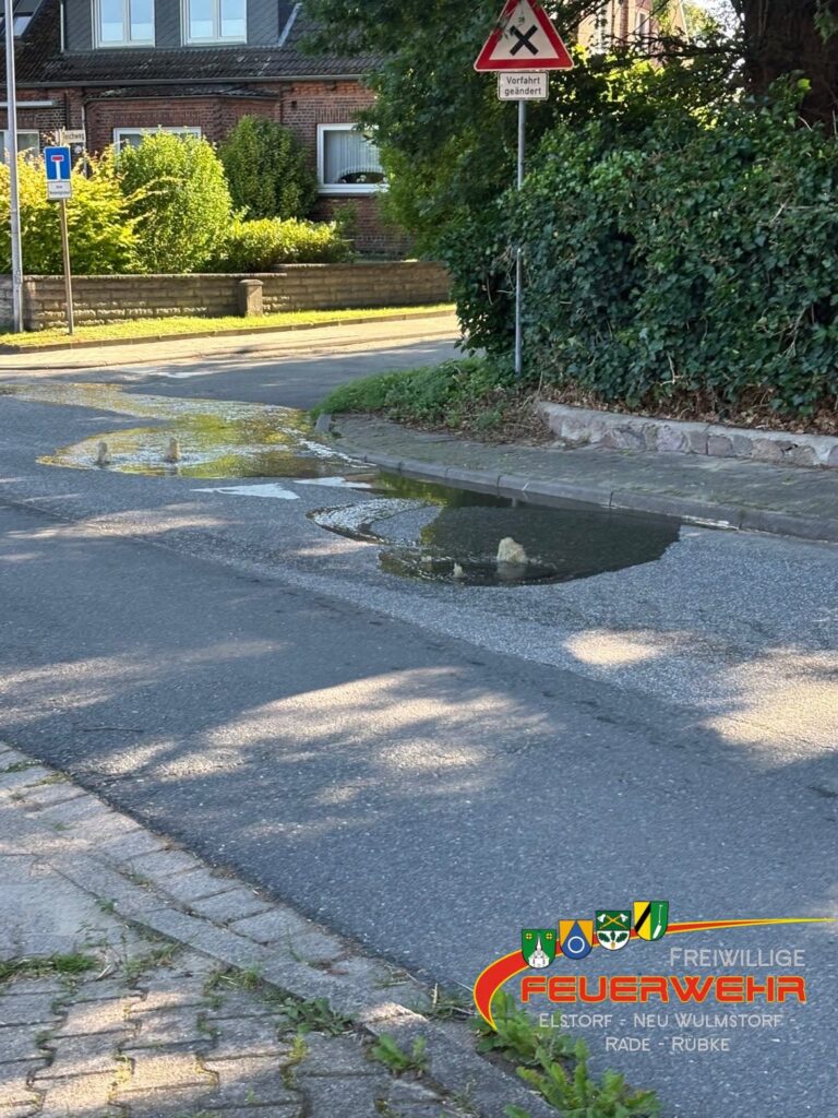 Mehr über den Artikel erfahren Wasser im Haus